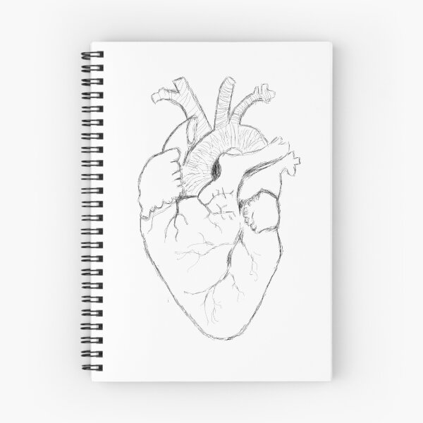 Item preview, Anatomical Heart Sketch designed and sold by TheTomlinsons.