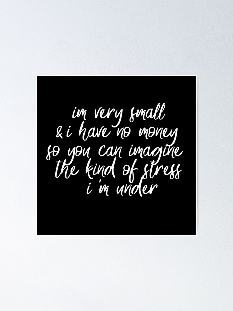 Im Very Small And I Have No Money Poster By Hugsnguineapigs Redbubble