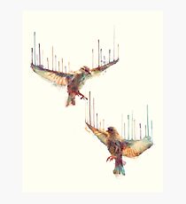 Awake Photographic Print