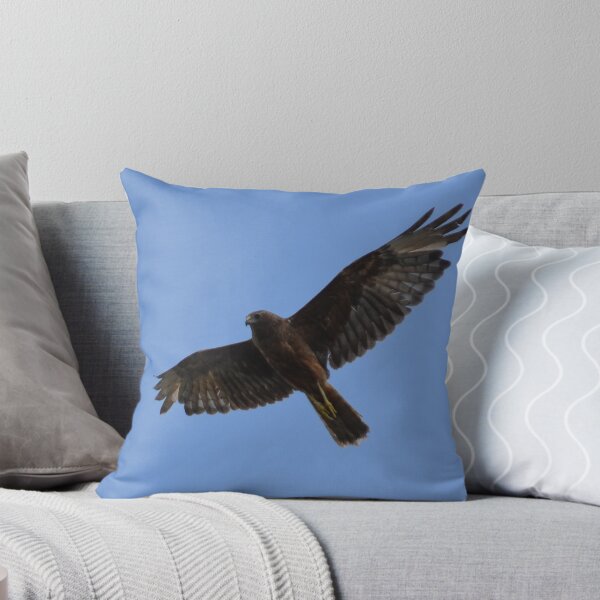 Item preview, Beach Flight 1- Harrier Auckland, New Zealand designed and sold by lizdomett.