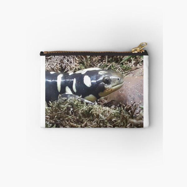 Item preview, Mr salamander designed and sold by Jarred Chaisson.