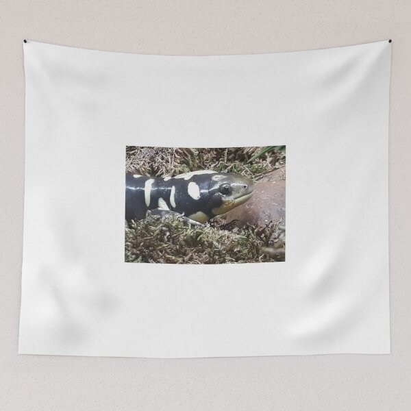 Item preview, Mr salamander designed and sold by Jarred Chaisson.