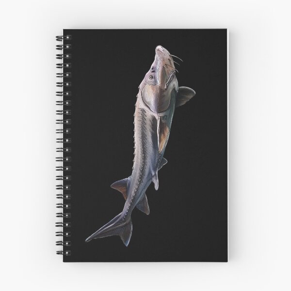 Item preview, Sturgeon baeri designed and sold by InkFish Art.