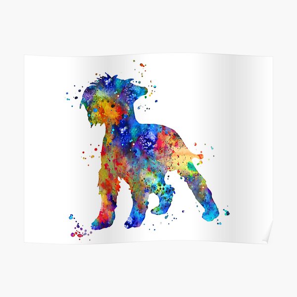 Miniature schnauzer, Schnauzer, watercolor Miniature schnauzer Poster