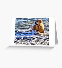 Suppose You Thought That Was Funny............ Greeting Card