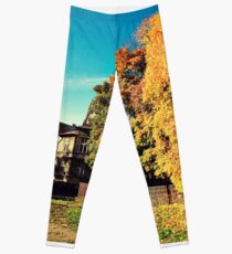 Autumn is Golden Leggings