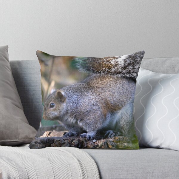 Item preview, Chubby Squirrel... designed and sold by RichImage.