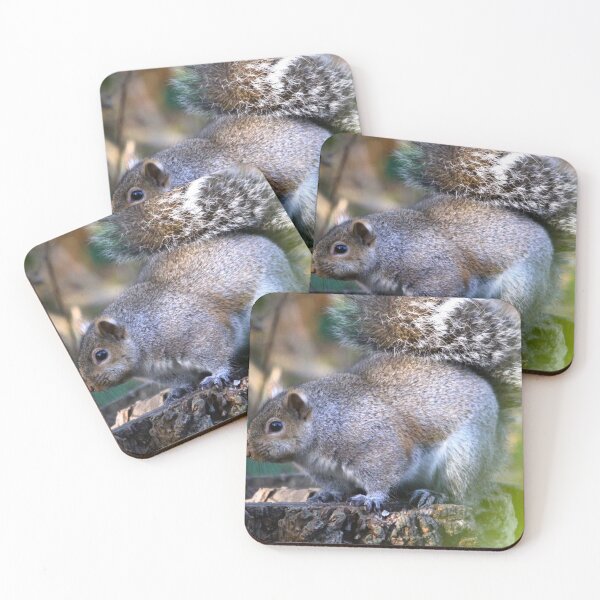 Item preview, Chubby Squirrel... designed and sold by RichImage.