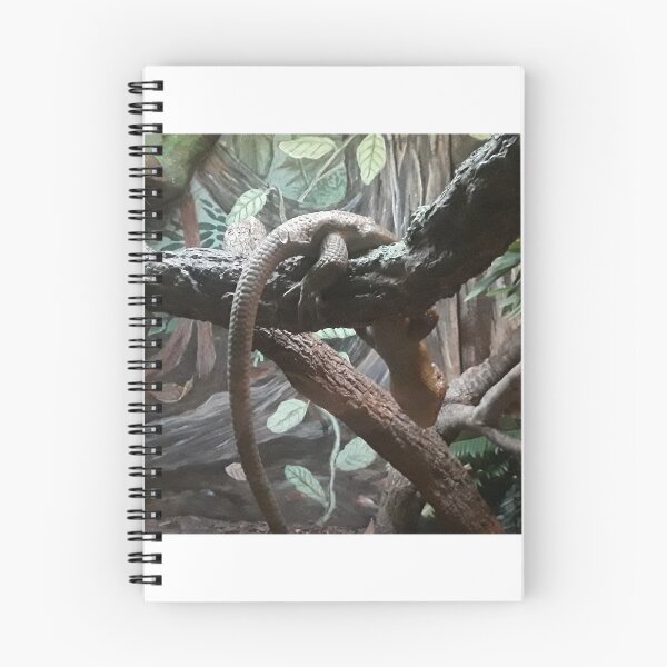 Item preview, Lizard designed and sold by Jarred Chaisson.