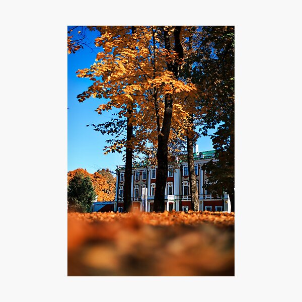 Kadriorg Photographic Print