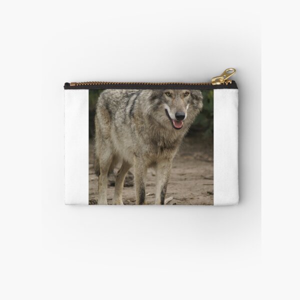 Item preview, Rescued Timber Wolf 1 designed and sold by Michelle Lee Blatt.