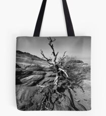Paria Canyon Tote Bag