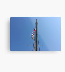 Flagged Up Metal Print