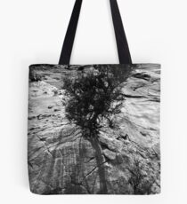 Paria Canyon Tote Bag