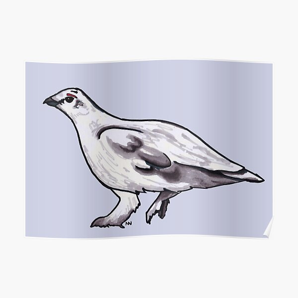 Rock Ptarmigan Poster