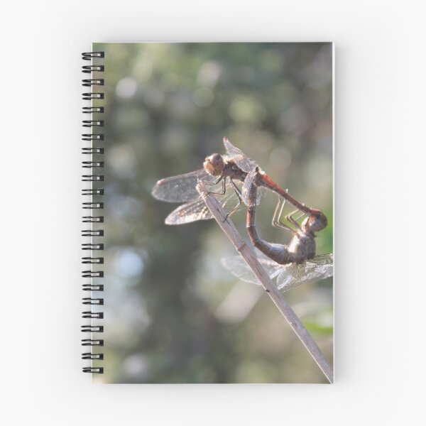 Item preview, Ambiguous Dragonfly designed and sold by Crowbiscuit.