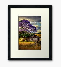 Jacaranda... Framed Print