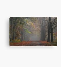 Just a little autumnal flashback Canvas Print