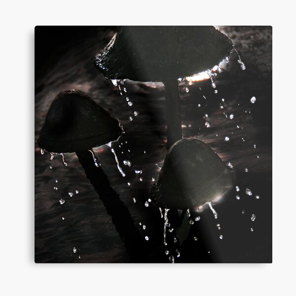 Mushroom Drops Metal Print