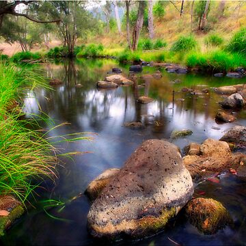 Artwork thumbnail, Tranquility by Kym Howard