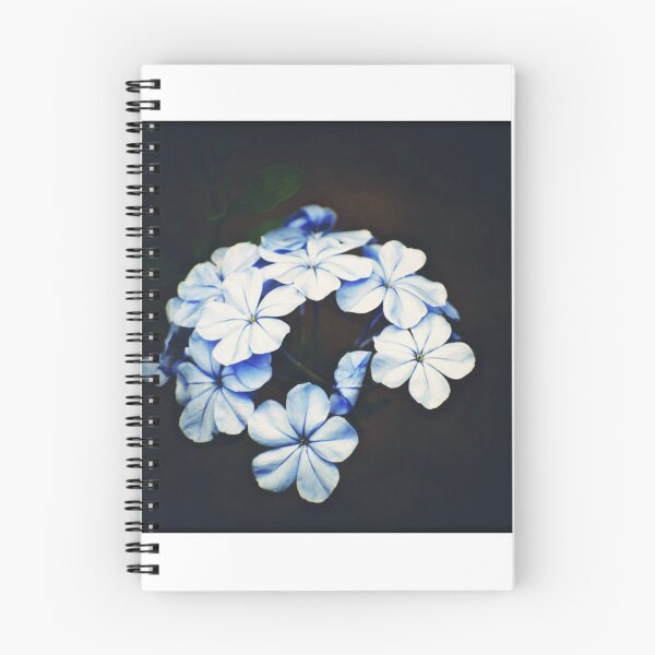 Item preview, Wanting More designed and sold by Melanie Uadjit.