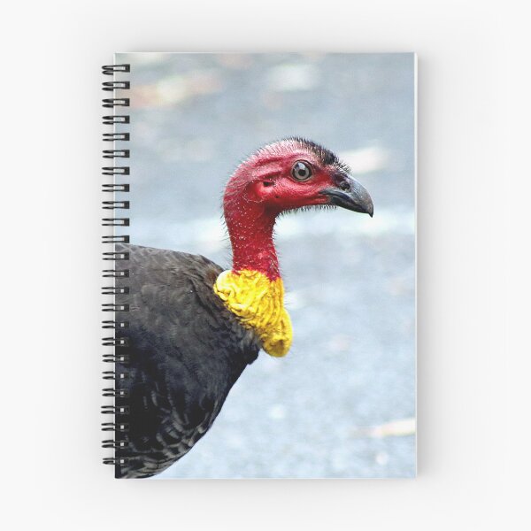 Item preview,  © Australian brushturkey designed and sold by GeoPipics.
