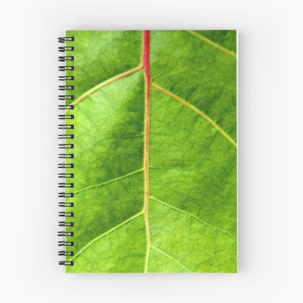 Item preview, GREEN designed and sold by Paula Bielnicka.