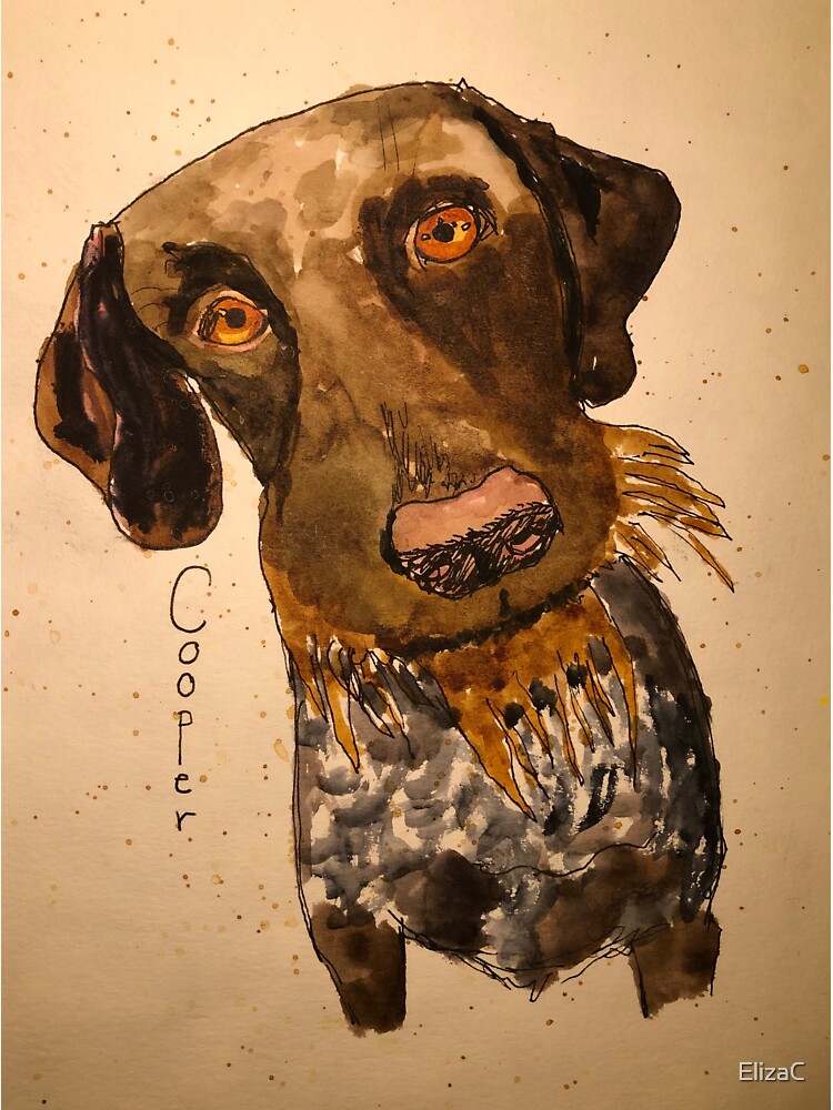 Cooper by ElizaC