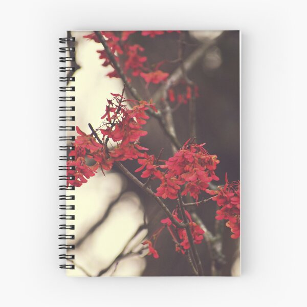 Item preview, Timid designed and sold by Melanie Uadjit.