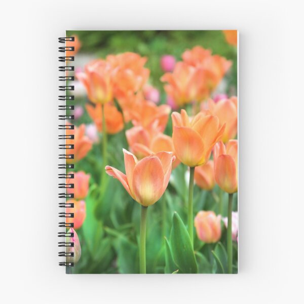 Item preview, Tulips designed and sold by Paula Bielnicka.