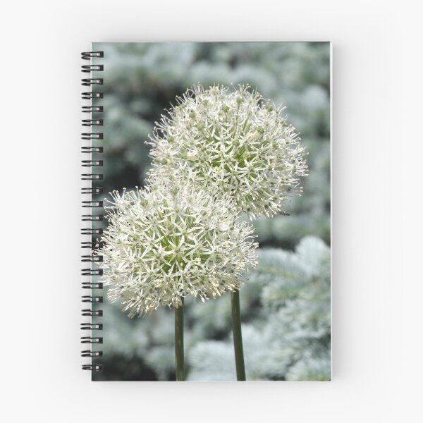 Item preview, Ornamental onion designed and sold by Paula Bielnicka.
