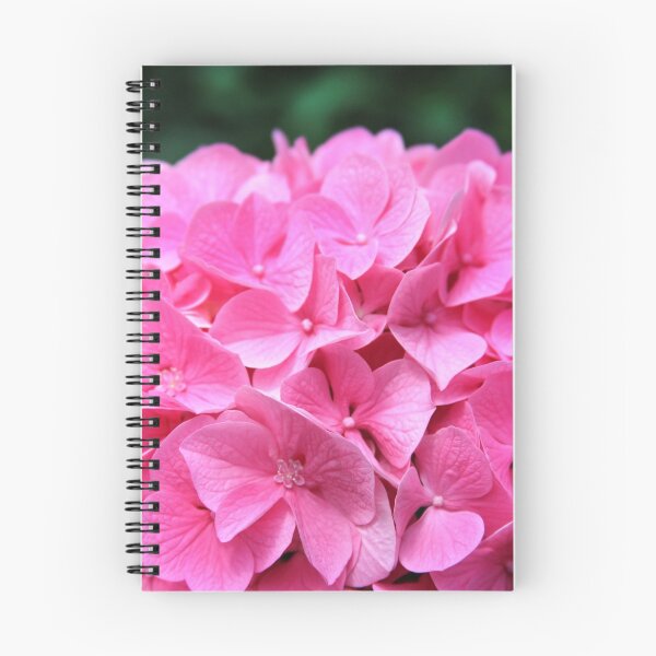 Item preview, Pink Hydrangea designed and sold by Paula Bielnicka.