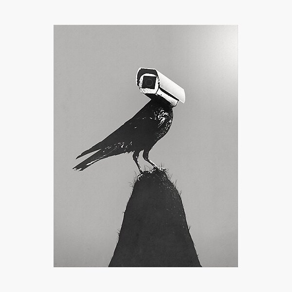 The Lookout Photographic Print