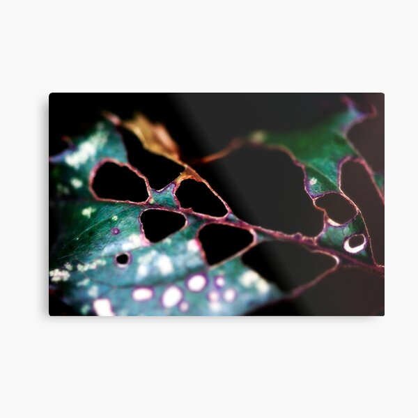 fragile Metal Print