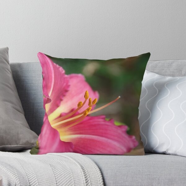 Item preview, DL designed and sold by Chet  King.