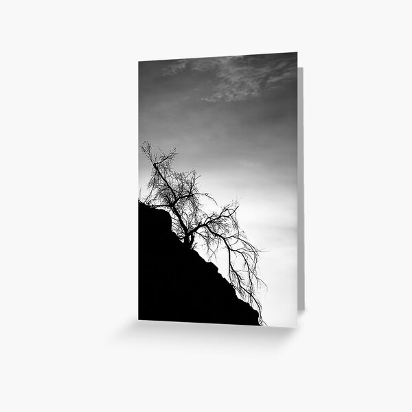 Tree on the Hill: Box Canyon Road Greeting Card