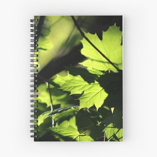 Item preview, Morning Light in the Maple Tree designed and sold by Gilda Axelrod.