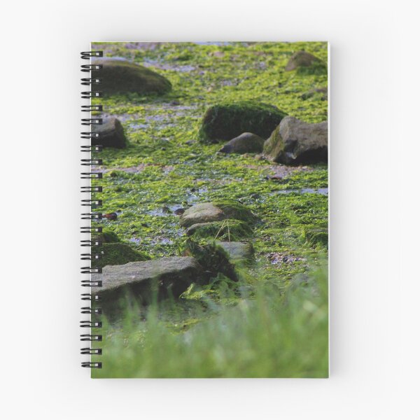 Item preview, Mossy Shore designed and sold by Gilda Axelrod.