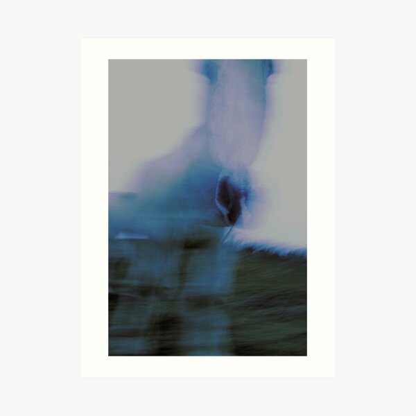 Ghost horse Art Print