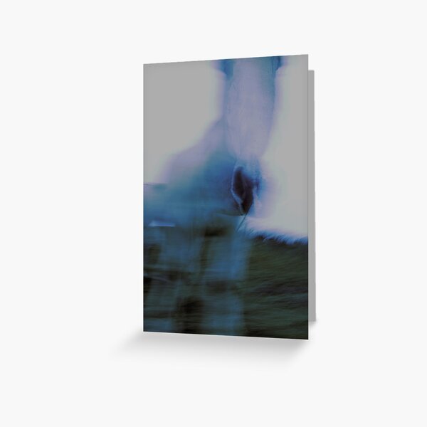 Ghost horse Greeting Card