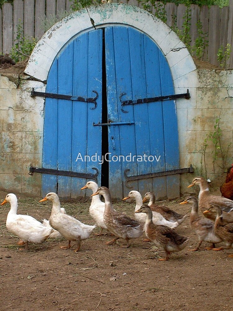 "Romanian wine cellar - Ducks pass" by AndyCondratov | Redbubble