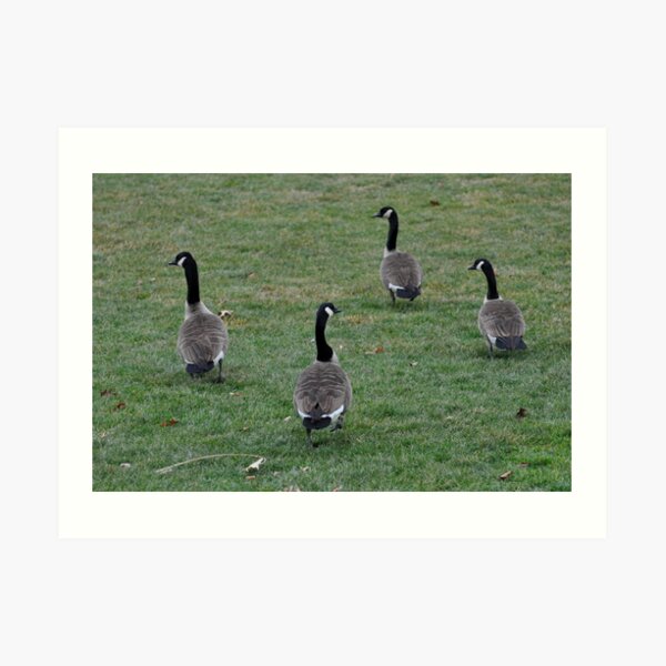 Put your right foot in, put your right foot out...do the hokey pokey... Art Print
