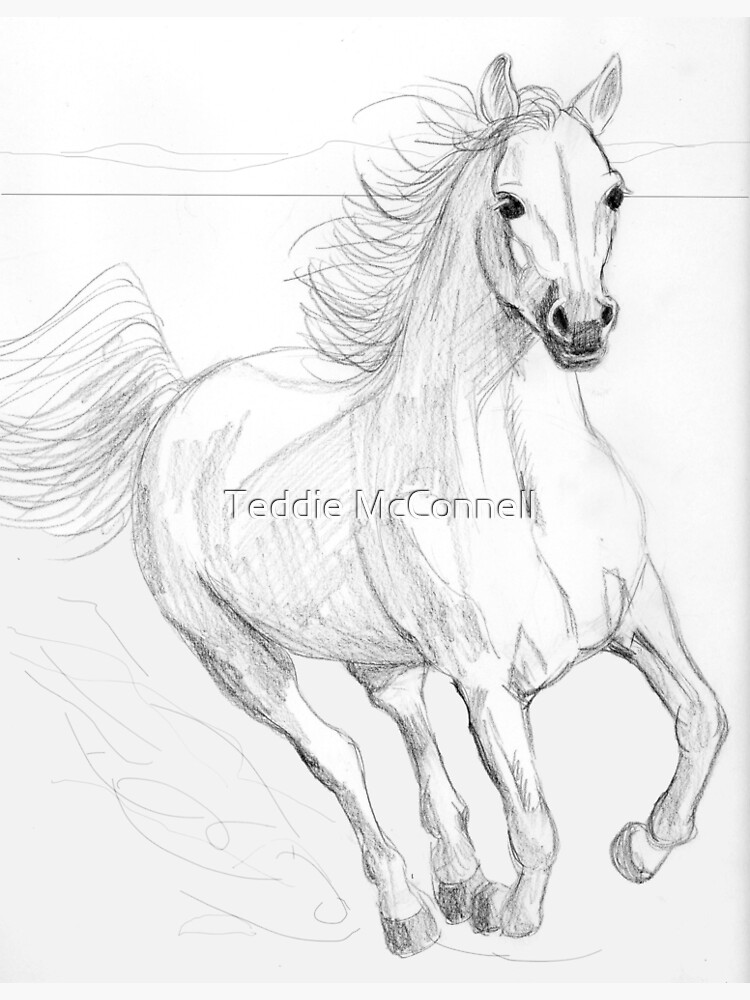 Buy Charcoal Abstract Painting Horse Print Running Horse Art Print From  Original Drawing Black and White Horse Sketch by Ann Adams, H9, Online in  India - Etsy