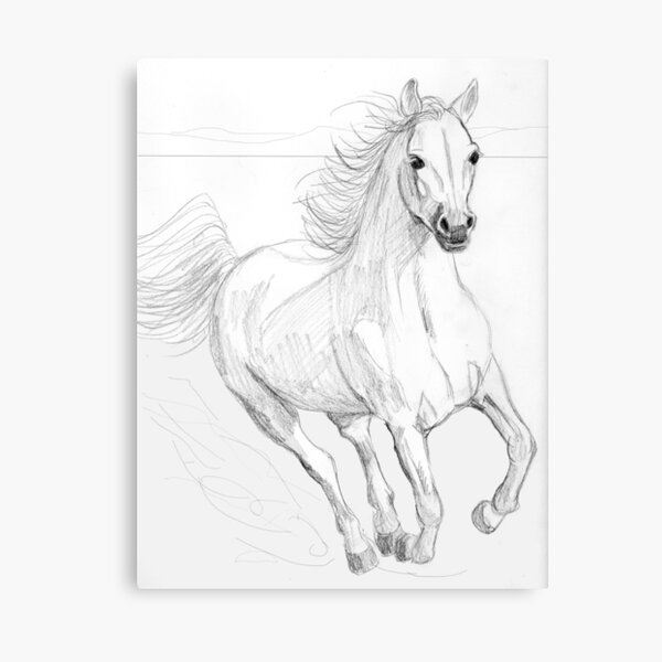 Impression sur toile « En cours d'exécution dessin au crayon cheval