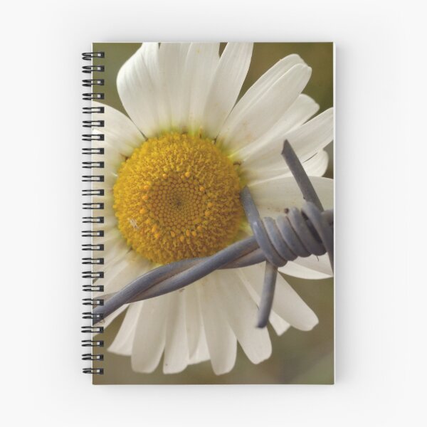 Item preview, Daisy Irony - A Study in Contrast designed and sold by Teddie McConnell.