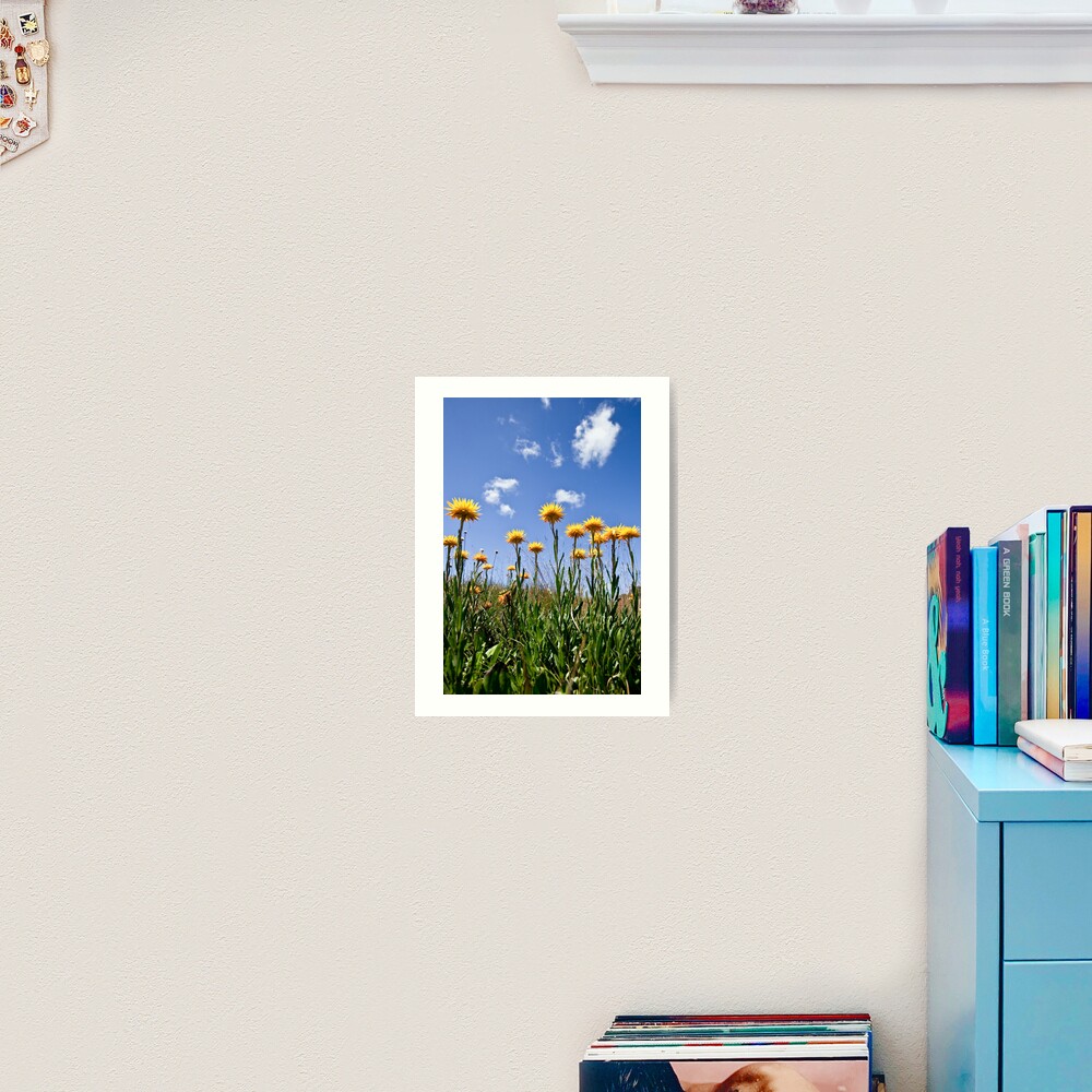 Reach for the sky Art Print