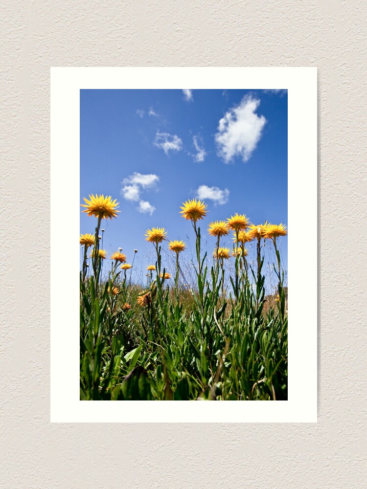 Alternate view of Reach for the sky Art Print