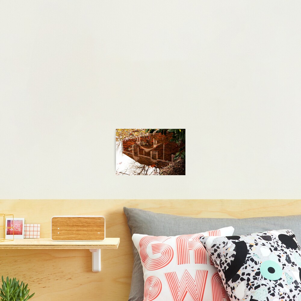 Item preview, Photographic Print designed and sold by thadz.