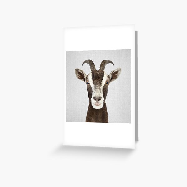 Little Goat Organic Cotton Teething Pads Gray Art Deco Little Goat Organic Cotton Teething Pads Gray Art Deco
