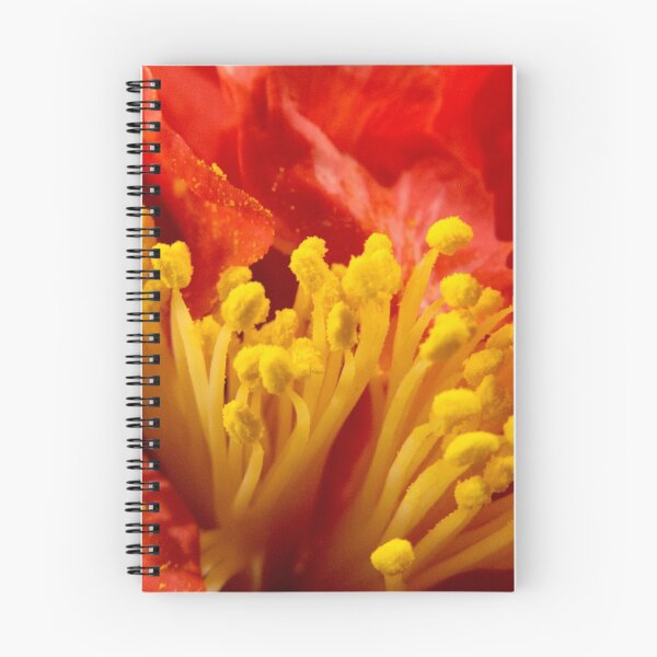 Item preview, Yellow on Red designed and sold by Susan Werby.